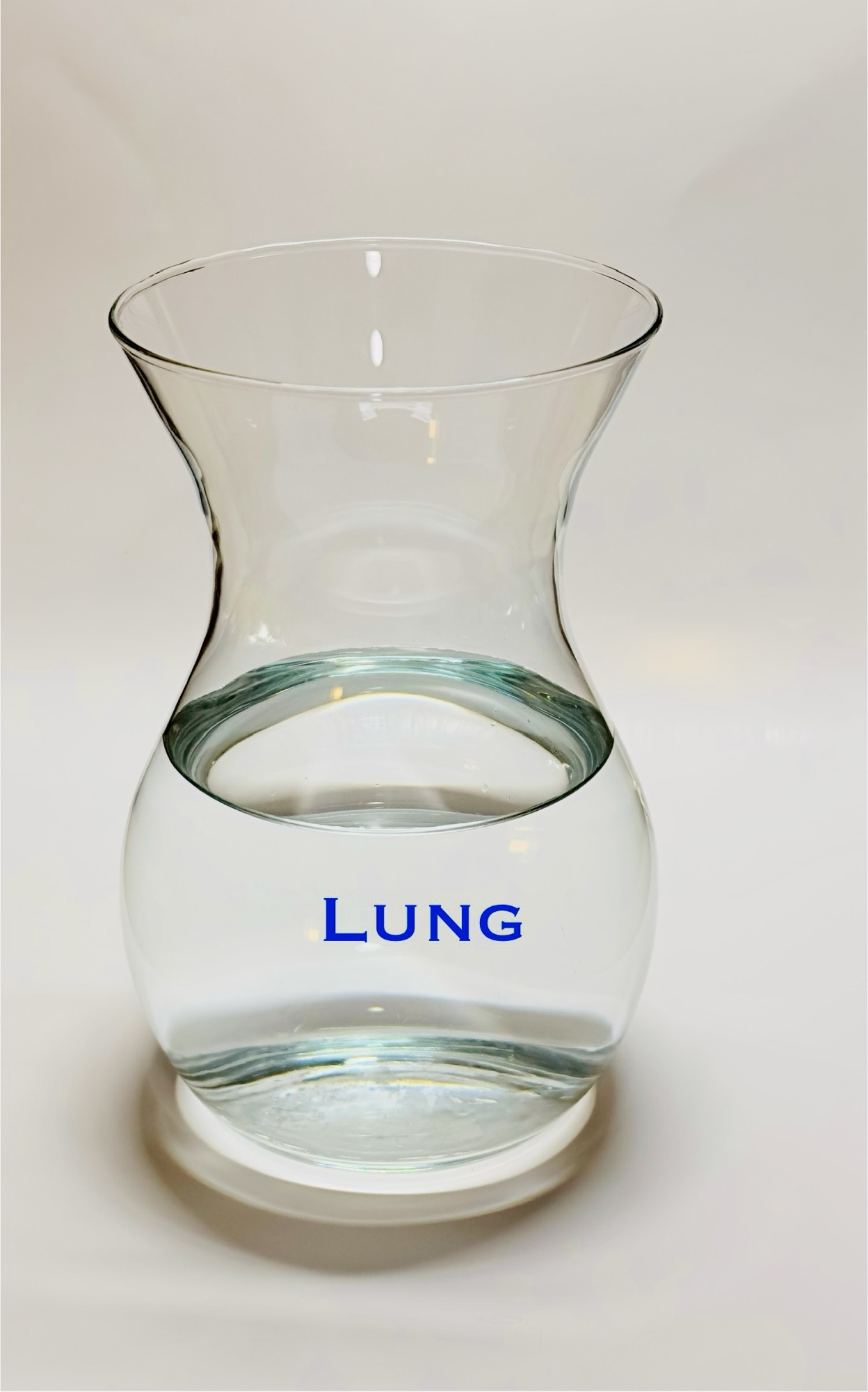 Kidney Pitcher: "Serenis"